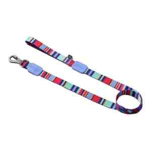 ZOOGHY  Leash Violet Lights And Stripes Medium Dog 2 - FeaturesTake your pup to the great outdoors worry