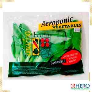 PAKCHOY HIJAU AERO 250G - PAKCHOY HIJAU AERO 250G