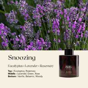 SECRET GARDEN AROMA REED DIFFUSER SNOOZING 140ML - Minty peppermint  Eucalyptus  Rosemary Ciptakan