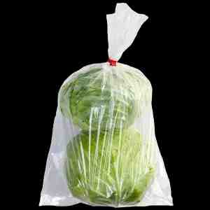 1 . CABBAGE 1 KG 10007730 -  10-20