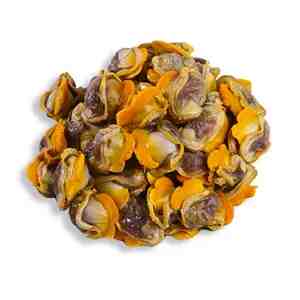 Isi Kerang 200gpack - Locally chilled fresh