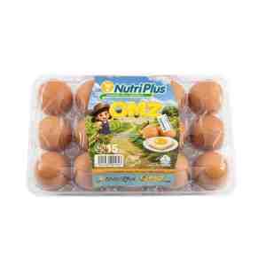 Nutriplus Omega Zinc Eggs Medium 15pcspack - Nutriplus Omega-3  Zinc Size M, 15 eggs deliver
