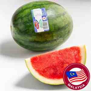Pasar Red Seedless Watermelon - Pasar Red Seedless Watermelon
