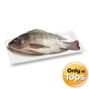 500 700 Tops Nile Tilapia - Tops Nile Tilapia Size 500to700g. per pcs.
