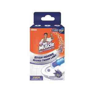 MR MUSCLE TOILET CLEANING GEL LAVENDER