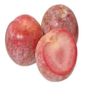 PLUM DINOSAUR EGG 500G- - PLUM DINOSAUR EGG 500G-