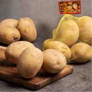 Holland Potato China - Holland Potato China