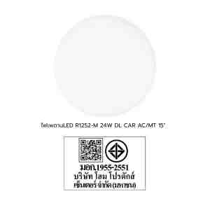 LED R1252-M 24W DL CAR ACMT 15 - 1274615 -  LED CARINI R1252-M 15  24  DAYLIG