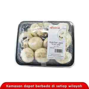 JAMUR CHAMPIGNON MUSHROOM