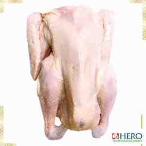 AYAM KAMPUNG DC 600 - 700GR - AYAM KAMPUNG DC 600 - 700GR