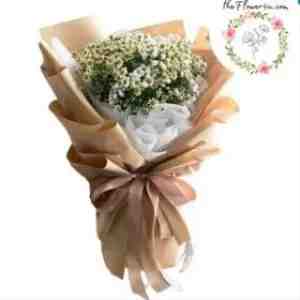 Brown Charmomile Bouquet - Brown Charmomile Bouquet