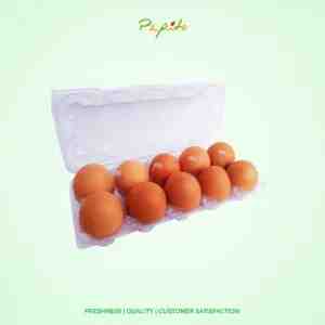 TELUR AYAM NEGERI ORANGE 10S - TELUR AYAM NEGERI ORANGE 10S
