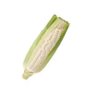 BB WHITE SWEETCORN 1PC - BB WHITE SWEETCORN 1PC