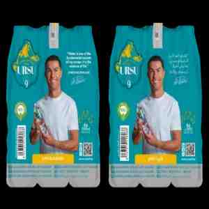URSU9 NATURAL MINERAL ALKALINE WATER 1.5LX6 - URSU9 NATURAL MINERAL ALKALINE WATER 1.5LX6