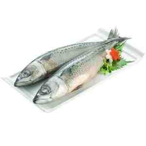 400600 Frozen Saba 400to600g. per pcs. - Frozen Saba siize 400to600g. per pcs.