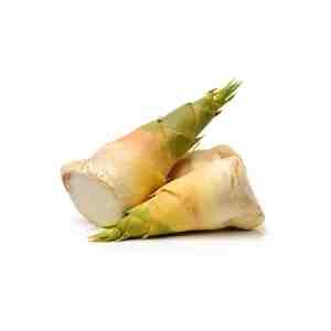 FRESH BAMBOO SHOOT KM KG - FRESH BAMBOO SHOOT KM KG