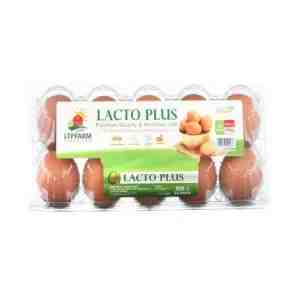 LTP LACTO PLUS SIZE L 10S