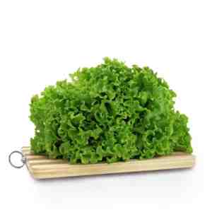 Selada Keriting Konvensional Astro Farm 200gram - pstrongAsal Produkstrongpp styletext