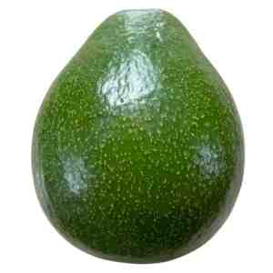 Ploychan Avocado - Ploychan Avocado