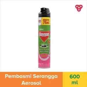 BAYGON AEROSOL FLOWER GARDEN 600ML _1C12P