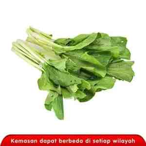 CAISIM SAWI HIJAU
