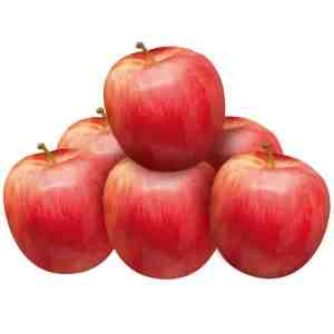 Size L6 Gala Apple Size L Pack 6 - Gala Apple Size L Pack 6
