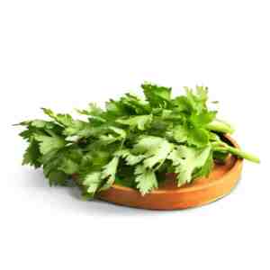 Daun Seledri Astro Farm 250gram - pstrongAsal ProdukstrongbrIndonesia Cip