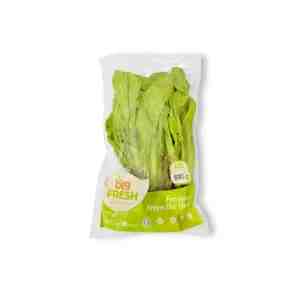 Big Fresh Sawi Pahit Hidropronik 200gr - Big Fresh Sawi Pahit Hidroponik adalah produk sayu