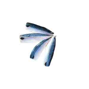 Saba Mackerel 500g- - 0431 - SKU 014816