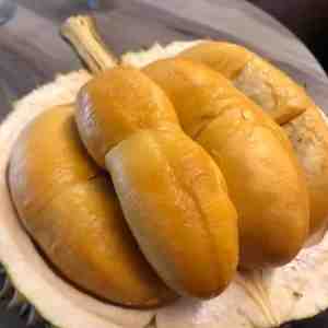 Fresh Blackthorn Durian 500g - p1 box 500g fresh Blackthorn Durian pulpp -