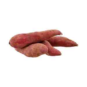 Japanese Yellow Sweet Potato GSA