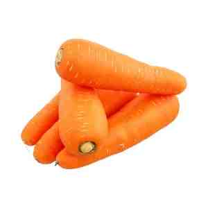 Carrot
