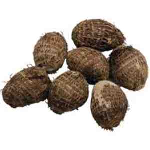 SMALL TARO 1XKG - SMALL TARO 1XKG