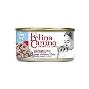 17 70 - 1202727 -  FELINA CANINO CAT 17 OCEAN ENSEMB 70