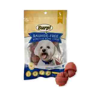 BURP  Dog Bonjour Bone Chews Rawhide-Free Dental Treats D - FeaturesChew smart and smile bright with the Burp