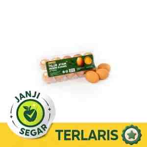 Golden Eggs Telur Ayam Negeri isi 10  650-700gr - Telur ayam negeri isi 10 pcs