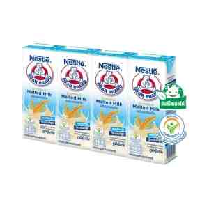 BEAR BRAND Enriched Malted 170 ml. X 4 units