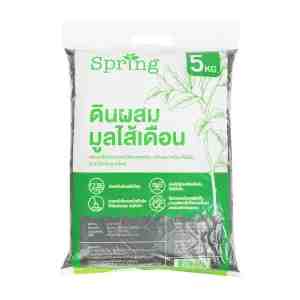 SPRING 5 . - 1237310 -  SPRING 5 .