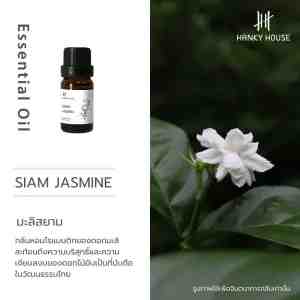 Hanky Fragrance Oil Jasmine 10ml 10 - 10 Hanky Fragrance Oil