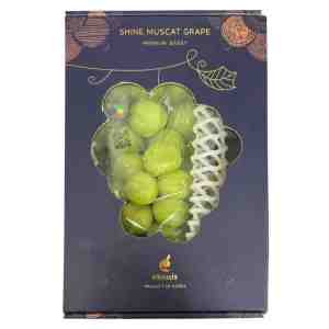 Korean Shine Muscat Grape Giftbox - Korean Shine Muscat Grape Giftbox