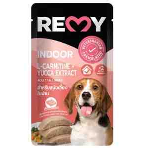 REMY  110 -  110 Remy