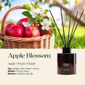SECRET GARDEN AROMA REED DIFFUSER APPLE BLOSSOM REFILL 100ML - Apple Blossom Apple  Pears  Floral Rasakan aroma