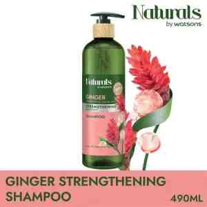 NATURALS BY WATSONS WS NBW GINGER SHMP 490ML - 1014399