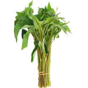 150 Jingjai Morning Glory 150g. - Jingjai Morning Glory 150g.