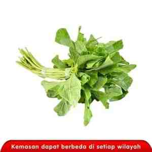 BAYAM HIJAU