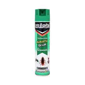 CHAINDRITEUnscentedInsecticideSpray600ml