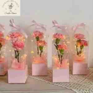 TCF1036 Fresh Flower Ossam Carnation Flower Box