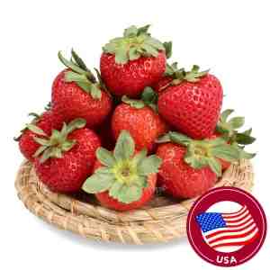 Driscolls Usa Strawberry 425g - Driscolls Usa Strawberry 425g