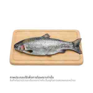.  5-6  WE ARE FRESH Fjord Trout per kg. weight 5-6 kg.