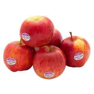 6 New Zealand Smitten Apple Pack 6 - New Zealand Smitten Apple Pack 6